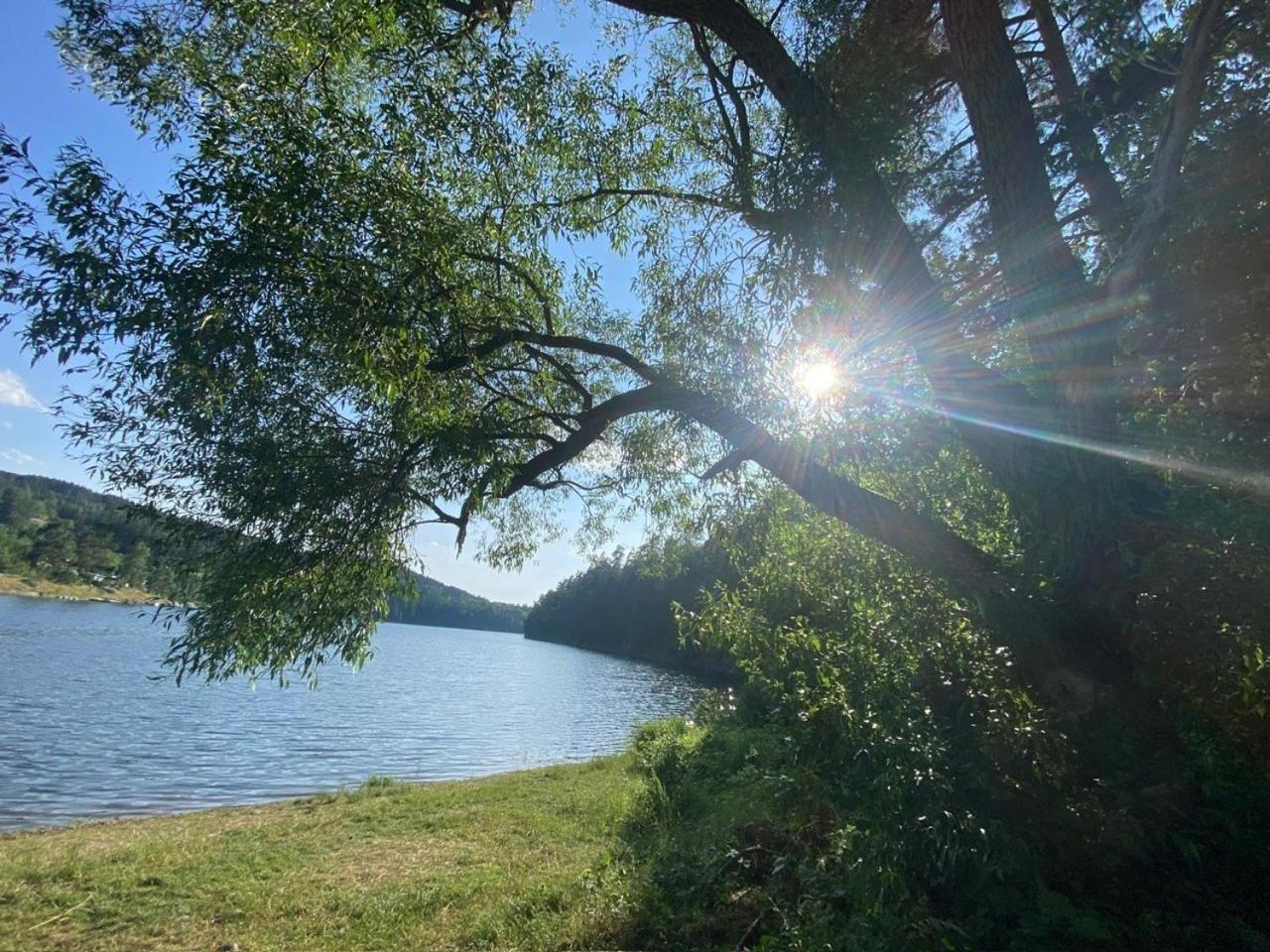 Pension Und Ferienwohnung Am Teich Schleiz Εξωτερικό φωτογραφία